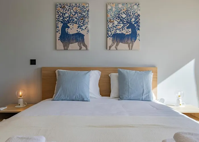 Appartement Joao Crisostomo 14 Ii *