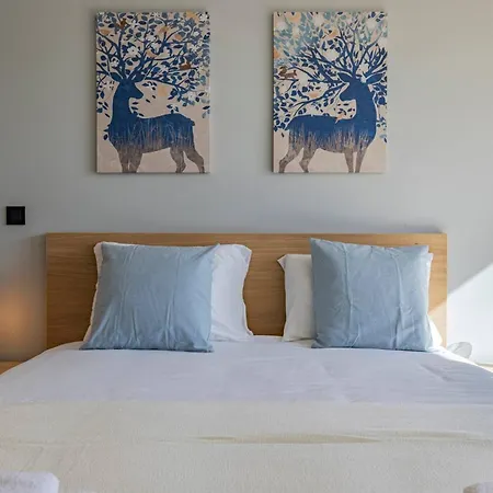 Joao Crisostomo 14 Ii דירה